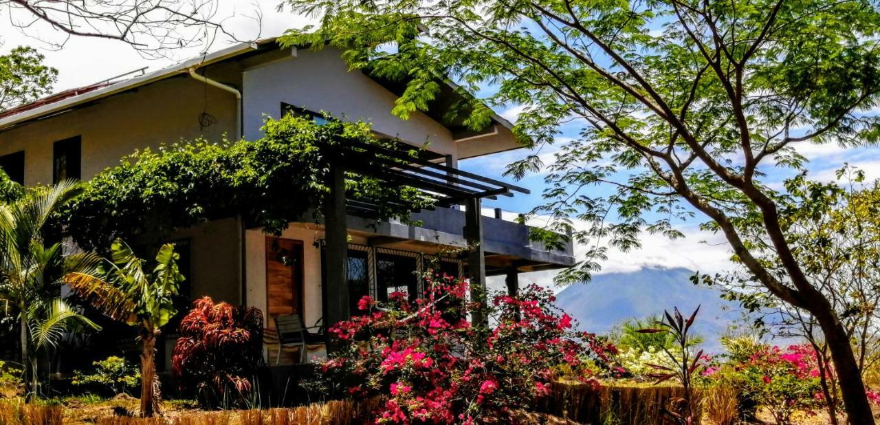 Ananda Guesthouse Balgue Ngoại thất bức ảnh